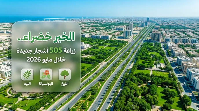 الخبر خضراء.. زراعة 505 أشجار جديدة ترفع إجمالي الغطاء النباتي بالمدينة إلى 163 ألف شجرة