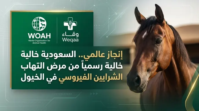 المنظمة العالمية للصحة الحيوانية تعلن خلو المملكة العربية السعودية رسمياً من مرض التهاب الشرايين الفيروسي في الخيول