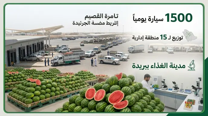 دخول 1500 سيارة يومياً لساحة مزادات مدينة الغذاء ببريدة لتوزيع الحبحب في مختلف المناطق