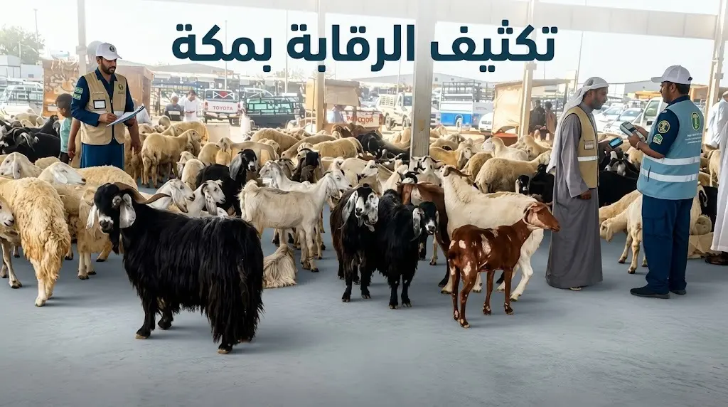 البيئة والمياه ترصد أكثر من ألف مخالفة بأسواق الماشية والمسالخ في مكة المكرمة لحماية المستهلك