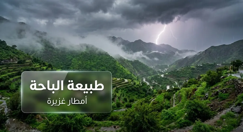 مشهد طبيعي خلاب لمتنزهات الباحة الجبلية المكسوة بالخضرة تحت هطول الأمطار الغزيرة والضباب الكثيف.