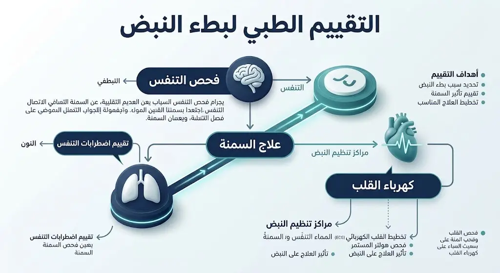 إنفوجرافيك طبي يوضح مسار التقييم الصحيح لبطء نبضات القلب لدى مرضى السمنة المفرطة، مع التركيز على فحص انقطاع التنفس أثناء النوم.