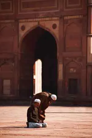 أسئلة وأجوبة فقهية