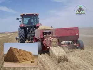 مشروع ترهونة الزراعي الاستثماري خطوة لأجل تطوير ودعم الاقتصاد الوطني