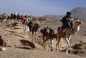 ●● القوارير من الفولاذ