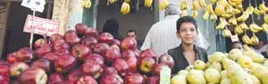 عزف منفرد .. دونما عزوف .. على أشعة الشمس