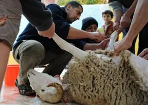 عاداتنا في عيد الاضحى (العيد الكبير)