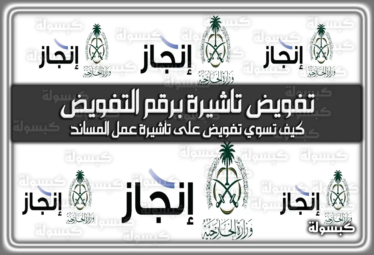 الاستعلام عن تفويض تأشيرة برقم التفويض 2026 - 1447 (رابط مباشر)
