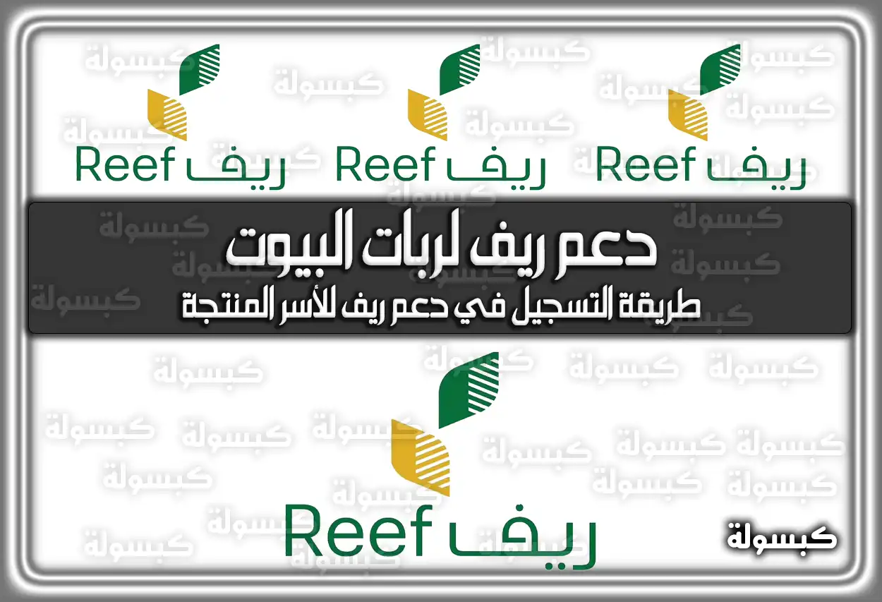 رابط التقديم على دعم ريف لربات البيوت