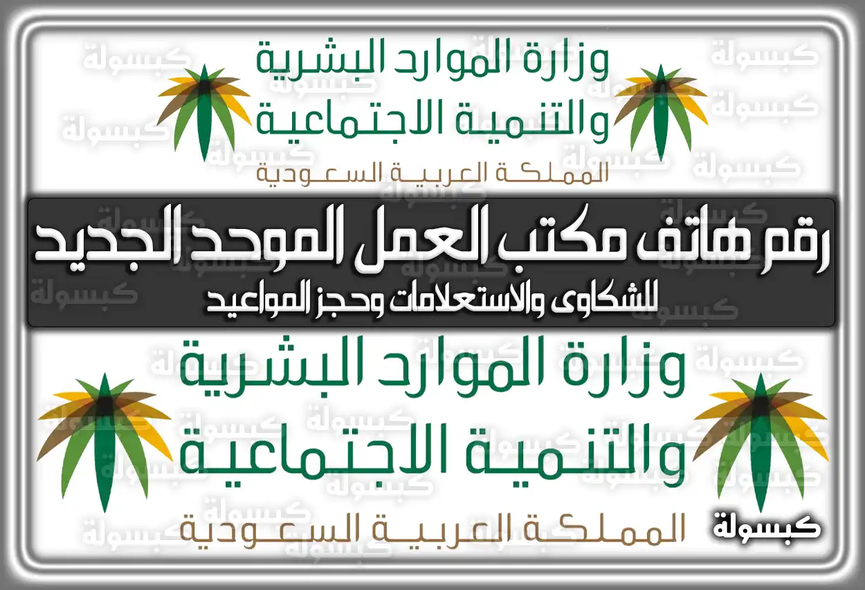 رقم هاتف مكتب العمل الموحد الجديد (19911) للشكاوى والاستعلامات وحجز المواعيد 2026 - 1447