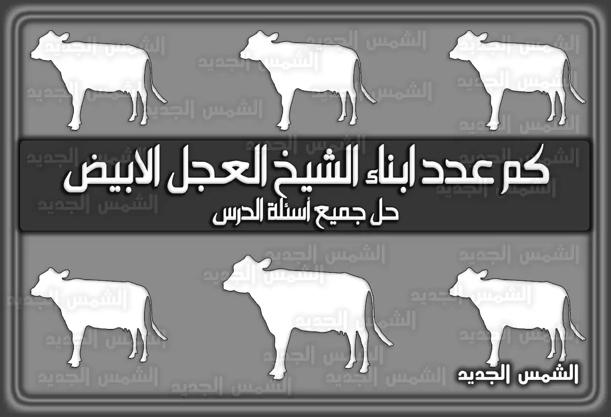 كم عدد ابناء الشيخ العجل الابيض.. حل جميع أسئلة الدرس