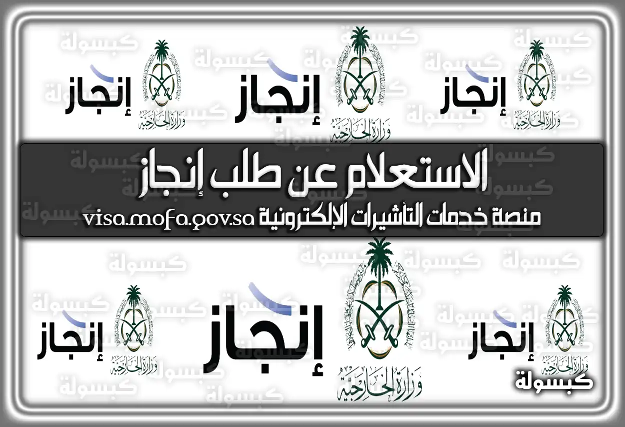 الاستعلام عن طلب إنجاز منصة خدمات التأشيرات الإلكترونية 2026 - 1447