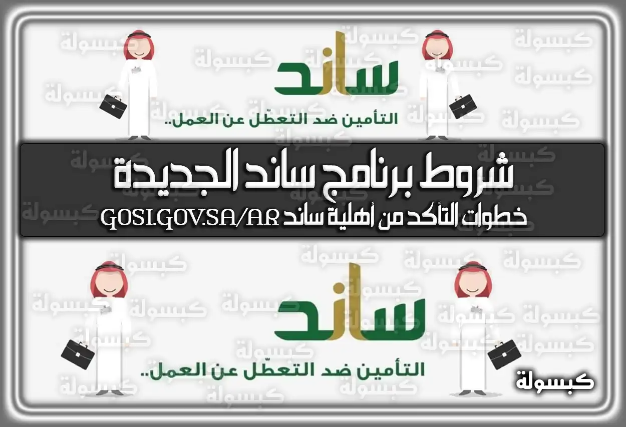 شروط برنامج ساند الجديدة
