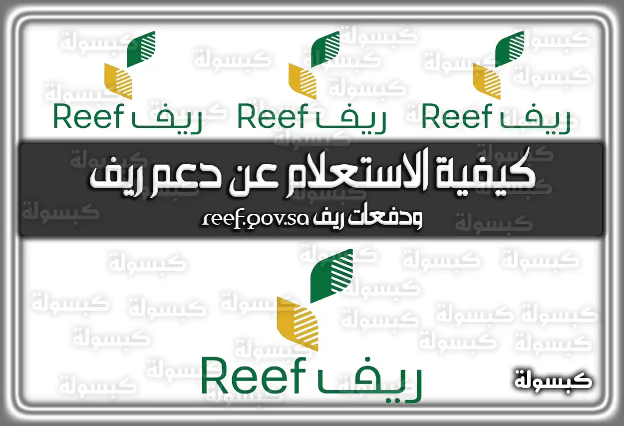 كيفية الاستعلام عن دعم ريف وموعد صرف دفعات ريف 2026 - 1447