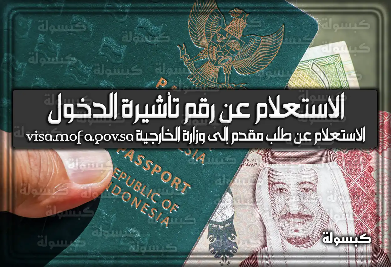 كيفية الاستعلام عن رقم تأشيرة الدخول للسعودية 2026 - 1447