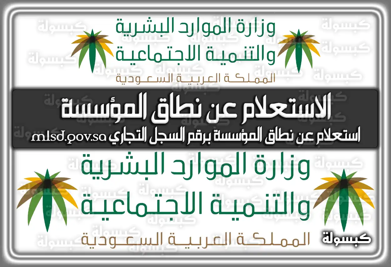 وزارة العمل الاستعلام عن نطاق المؤسسة برقم الإقامة 2026 - 1447