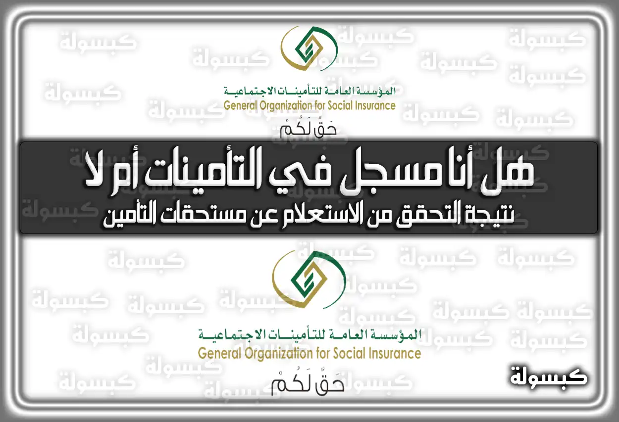استعلام هل أنا مسجل في التأمينات أم لا والخطوات اللازمة 2026 - 1447