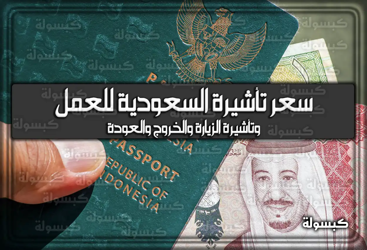 سعر تأشيرة السعودية للعمل والزيارة والخروج والعودة 2026 - 1447 (تم التحديث)