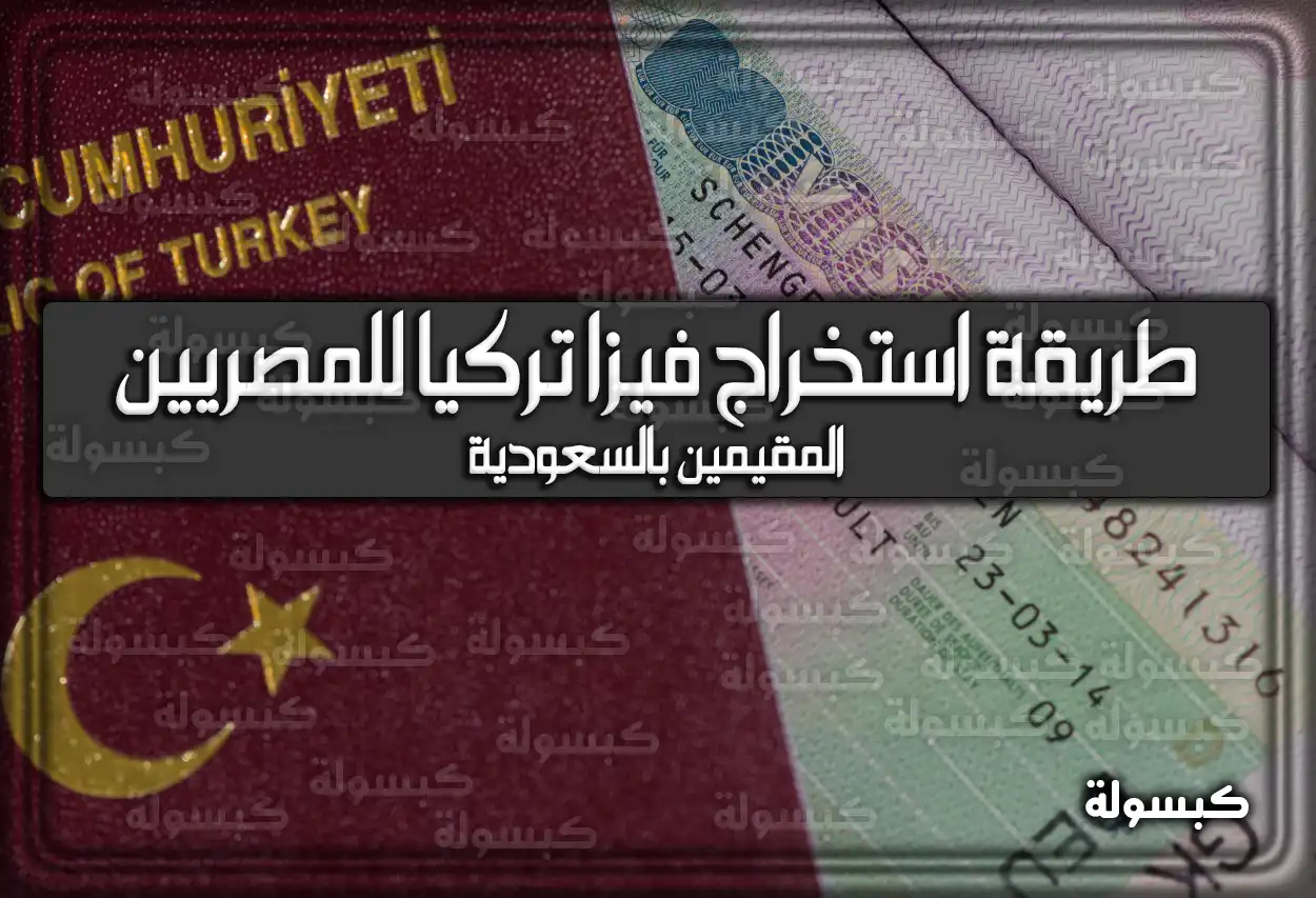 طريقة استخراج فيزا تركيا للمصريين المقيمين بالسعودية 2026