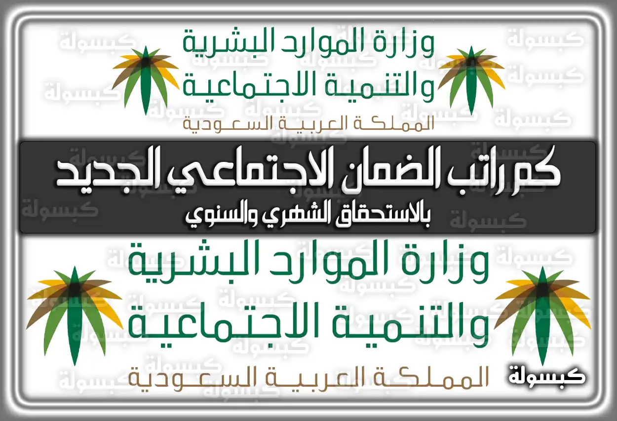 كم راتب الضمان الاجتماعي المطور الجديد 1447 - 2026؟ سلم الرواتب الجديد (بالاستحقاق الشهري)