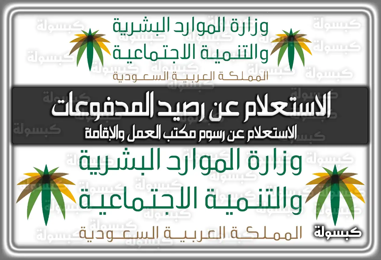 كيفية الاستعلام عن رصيد المدفوعات مكتب العمل في السعودية