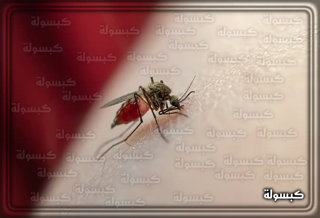 تفسير رؤية حلم البعوض في المنام