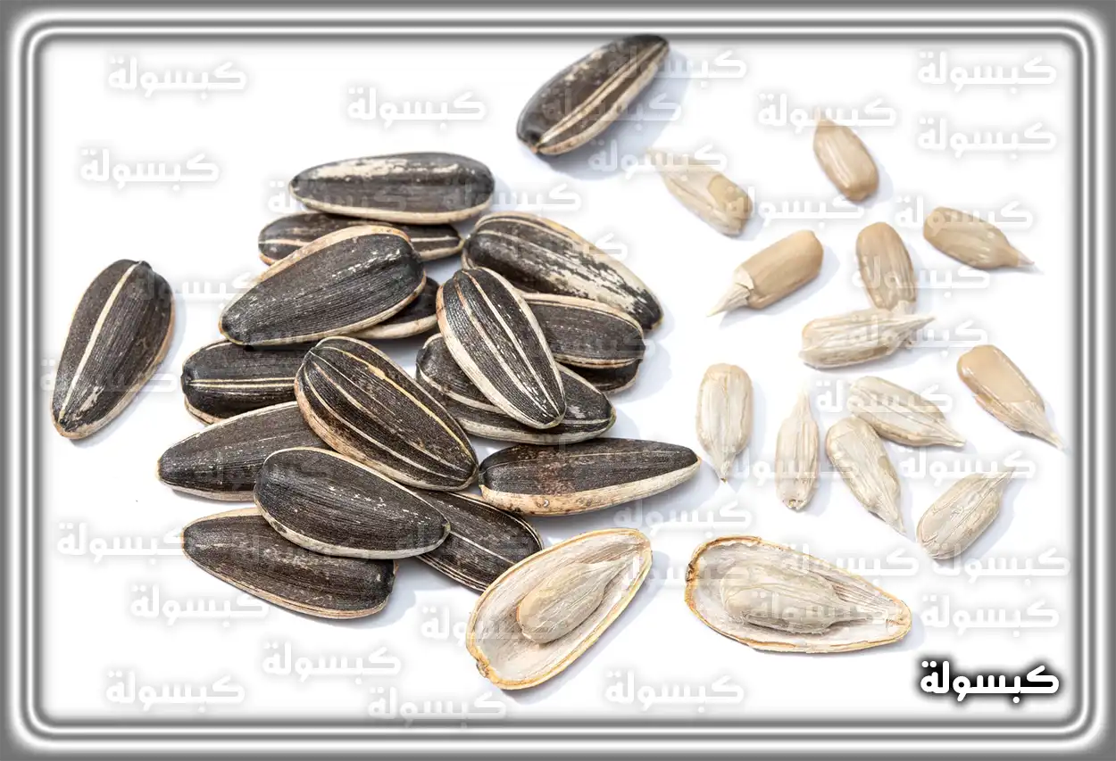 تفسير رؤية حلم اللب في المنام