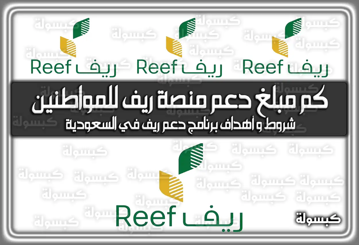 كم مبلغ دعم منصة ريف للمواطنين 2026 - 1447؟ شروط التسجيل وموعد الصرف (تم التحديث)
