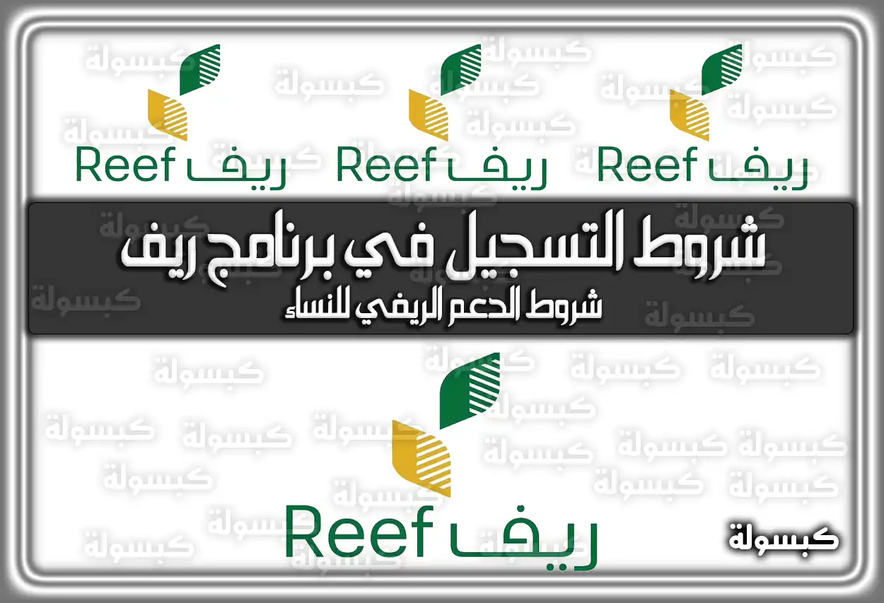 شروط التسجيل في برنامج ريف