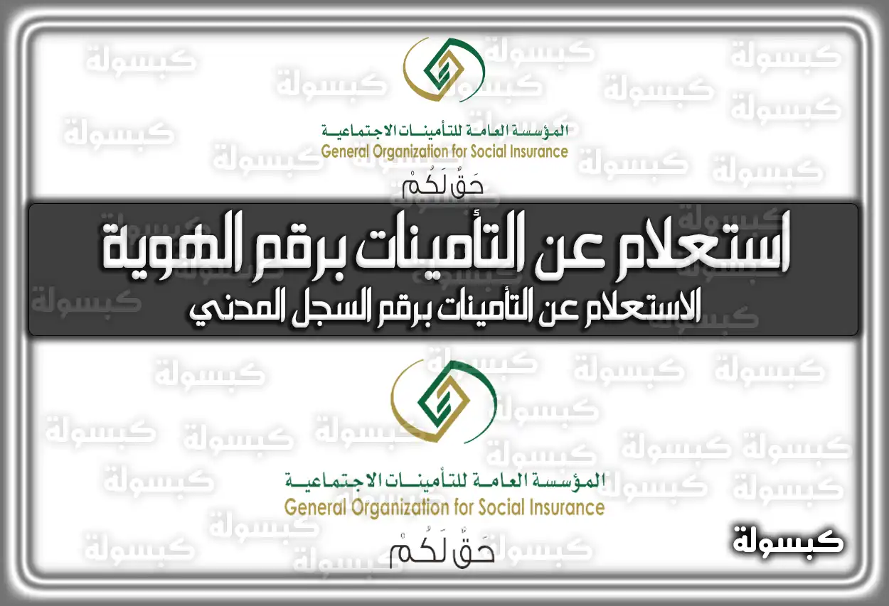 الاستعلام عن التأمينات برقم الهوية والسجل المدني 2026 - 1447