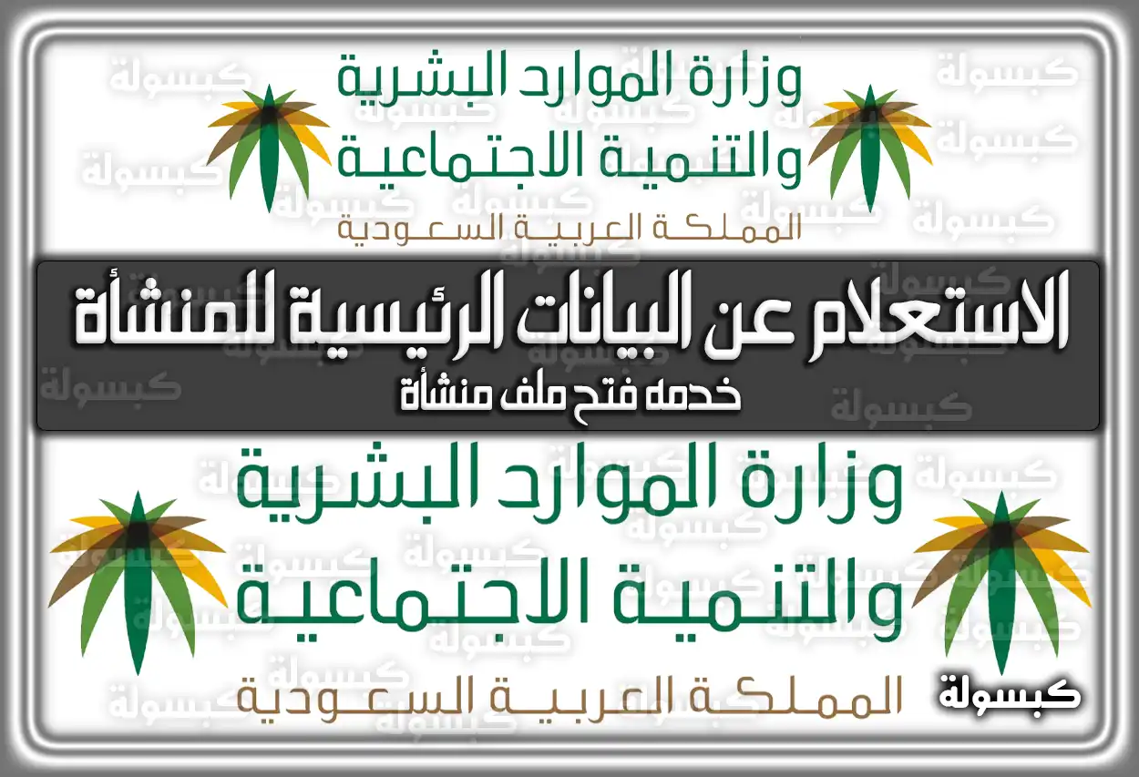 الاستعلام عن البيانات الرئيسية للمنشأة 2026 - 1447 (رابط مباشر)