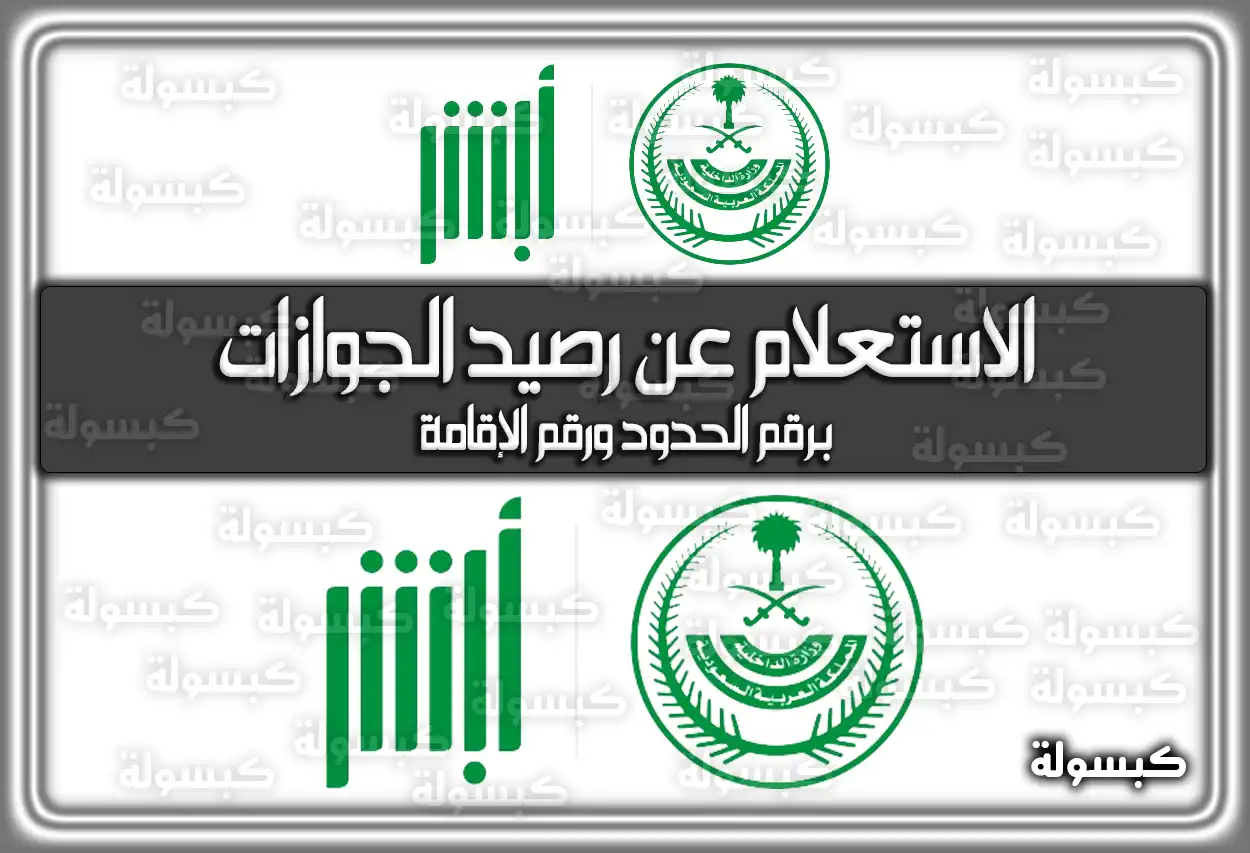 الاستعلام عن رصيد الجوازات برقم الحدود ورقم الإقامة 2026 - 1447
