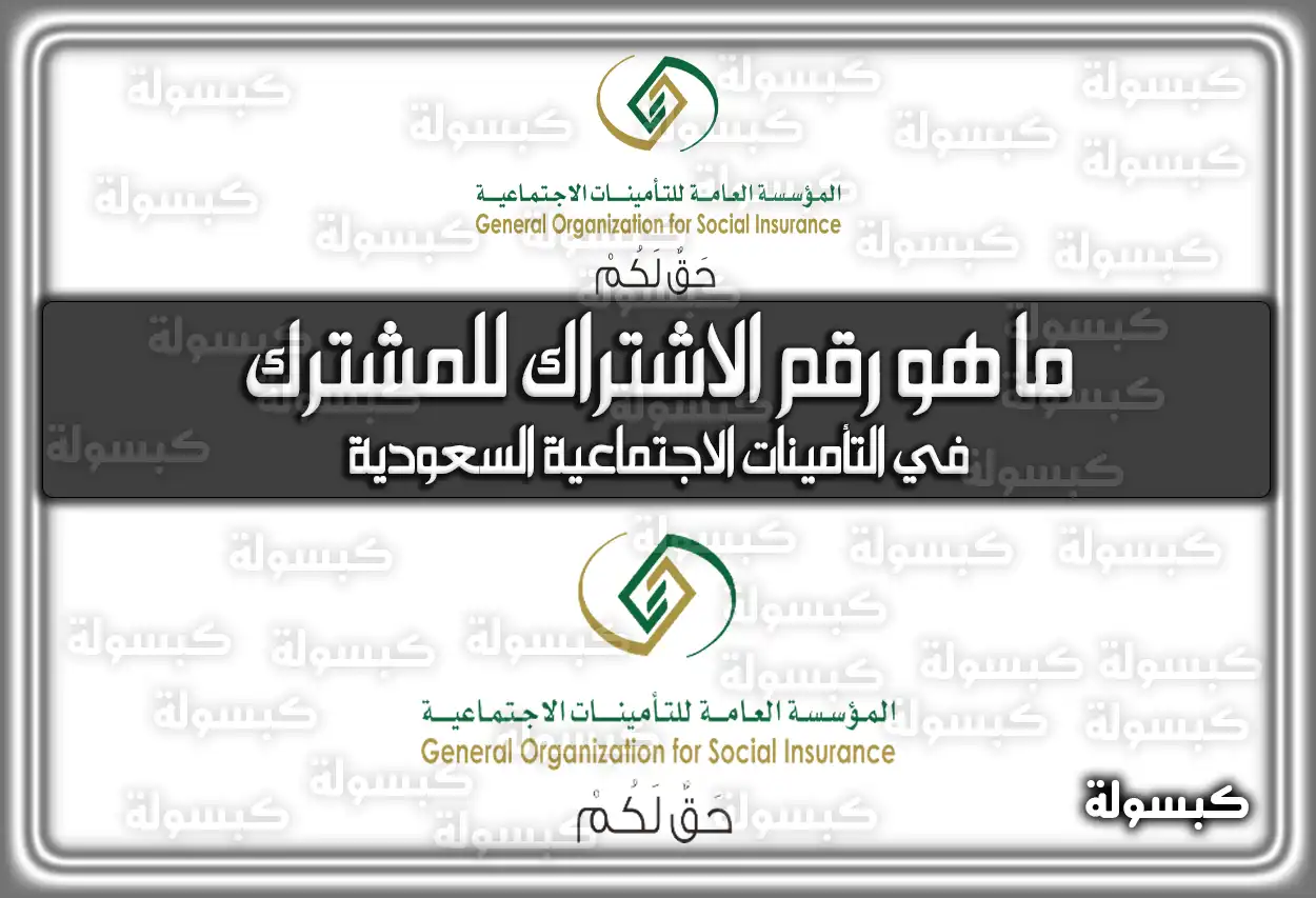 ما هو رقم الاشتراك للمشترك في التأمينات الاجتماعية السعودية 2026 - 1447