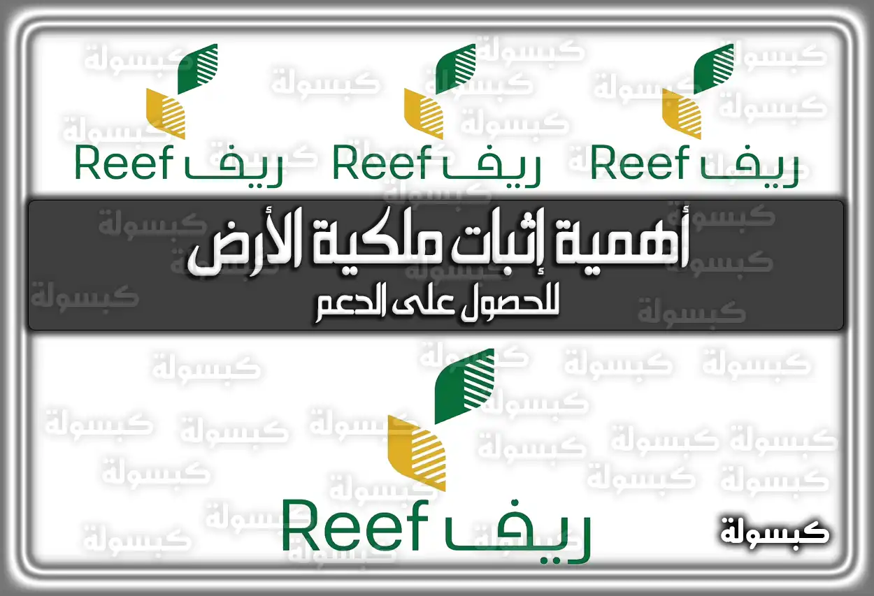 برنامج ريف يؤكد أهمية إثبات ملكية الأرض للحصول على الدعم
