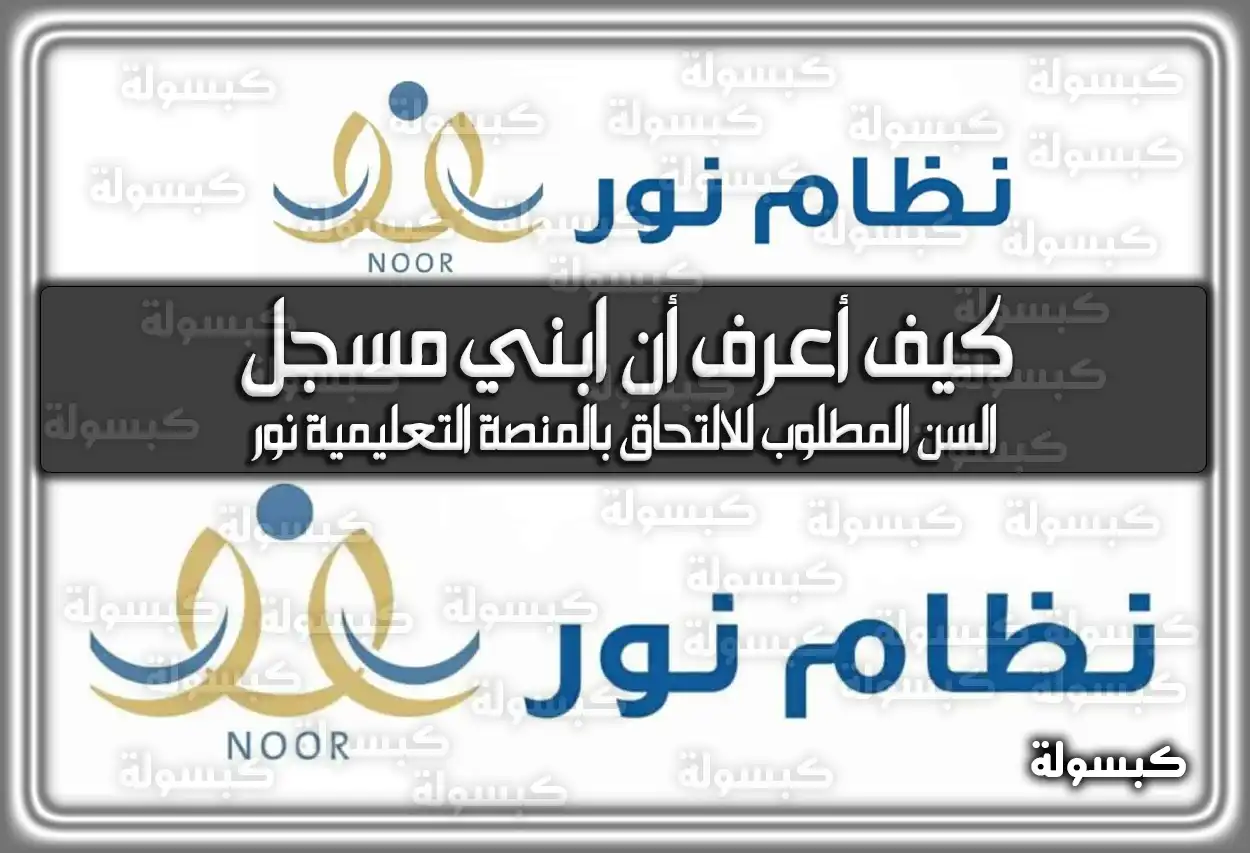 في أقل من دقيقة: كيف أعرف أن ابني مسجل في نظام نور