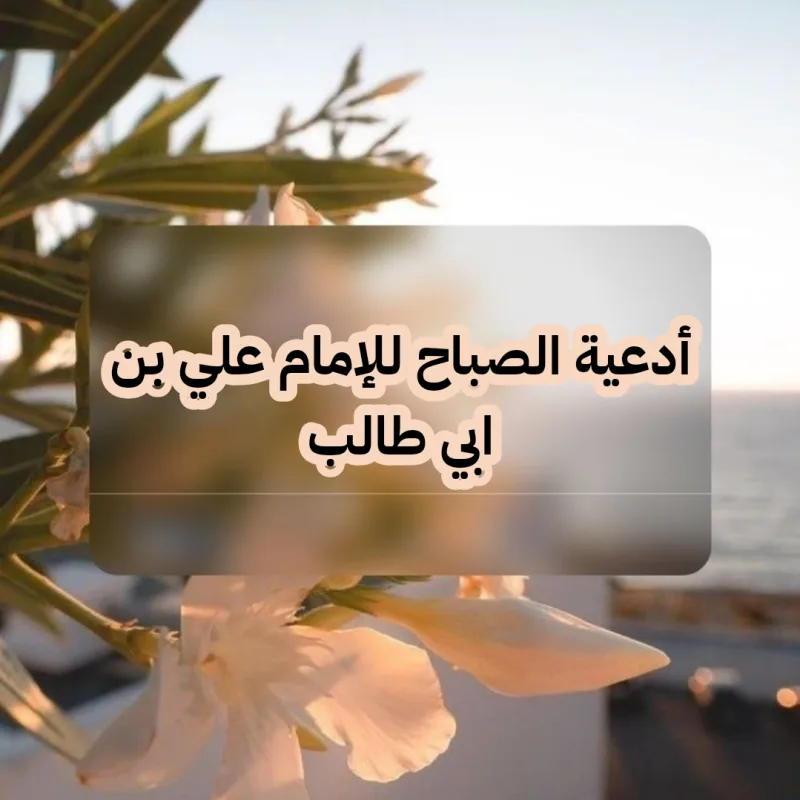 دعاء الصباح للإمام علي بن ابي طالب مكتوب