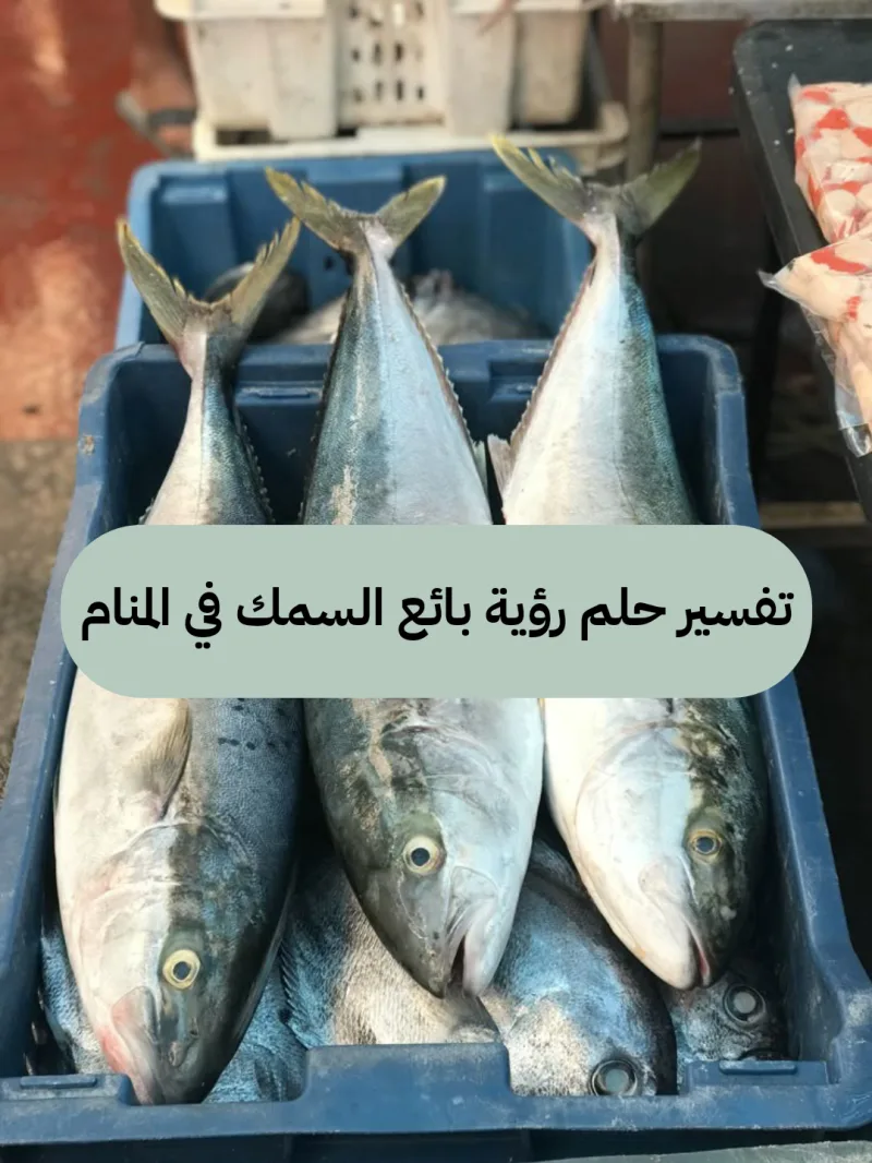 تم..... تفسير حلم رؤية بائع السمك في المنام