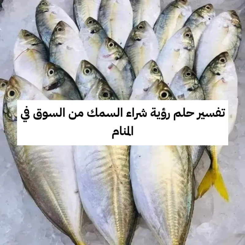تفسير حلم رؤية شراء السمك من السوق في المنام