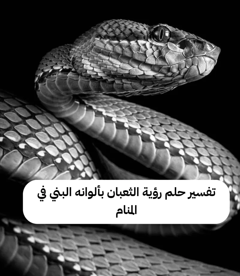 تفسير حلم رؤية الثعبان بألوانه البني في المنام