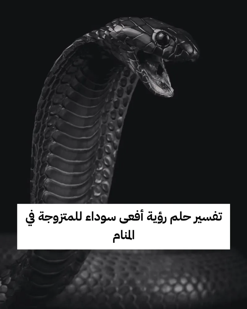 تفسير حلم رؤية أفعى سوداء للمتزوجة في المنام