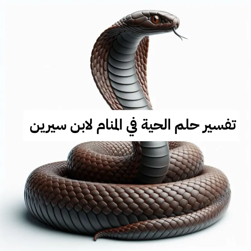 تفسير حلم الحية في المنام لابن سيرين للعزباء وَ للمتزوجة - رمز رؤية الأفعى في الحلم للإمام الصادق بالتفصيل
