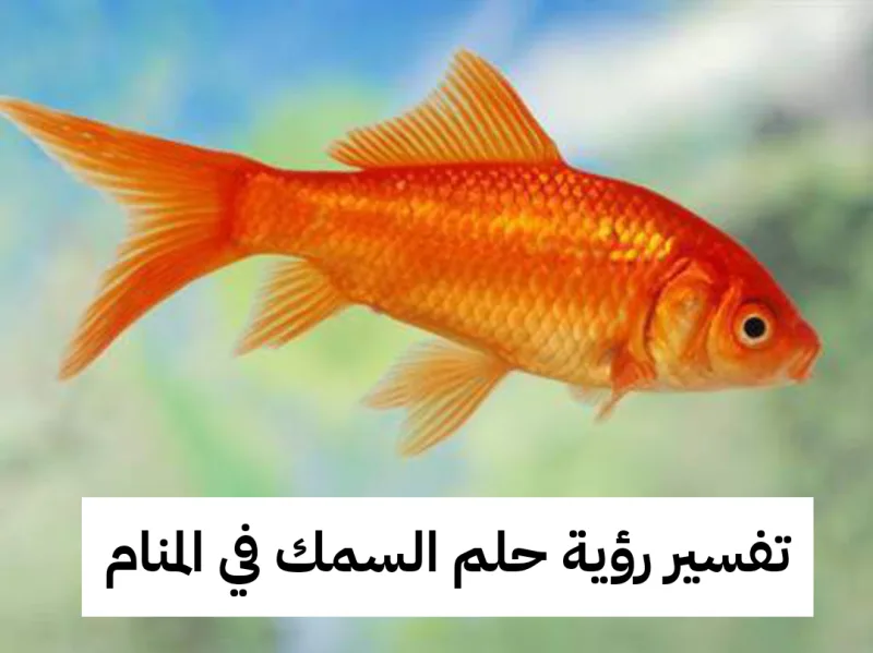 تفسير رؤية حلم السمك في المنام.. زواج ومعاصي