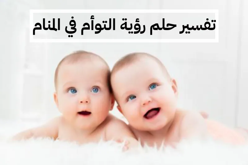 تفسير حلم رؤية التوأم في المنام