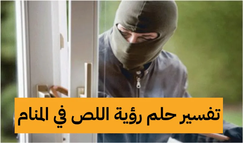تفسير حلم رؤية اللص في المنام