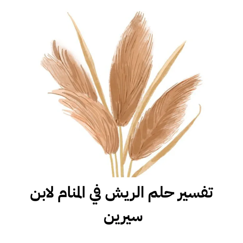 تفسير حلم الريش في المنام لابن سيرين - رمز رؤية الريش في الحلم
