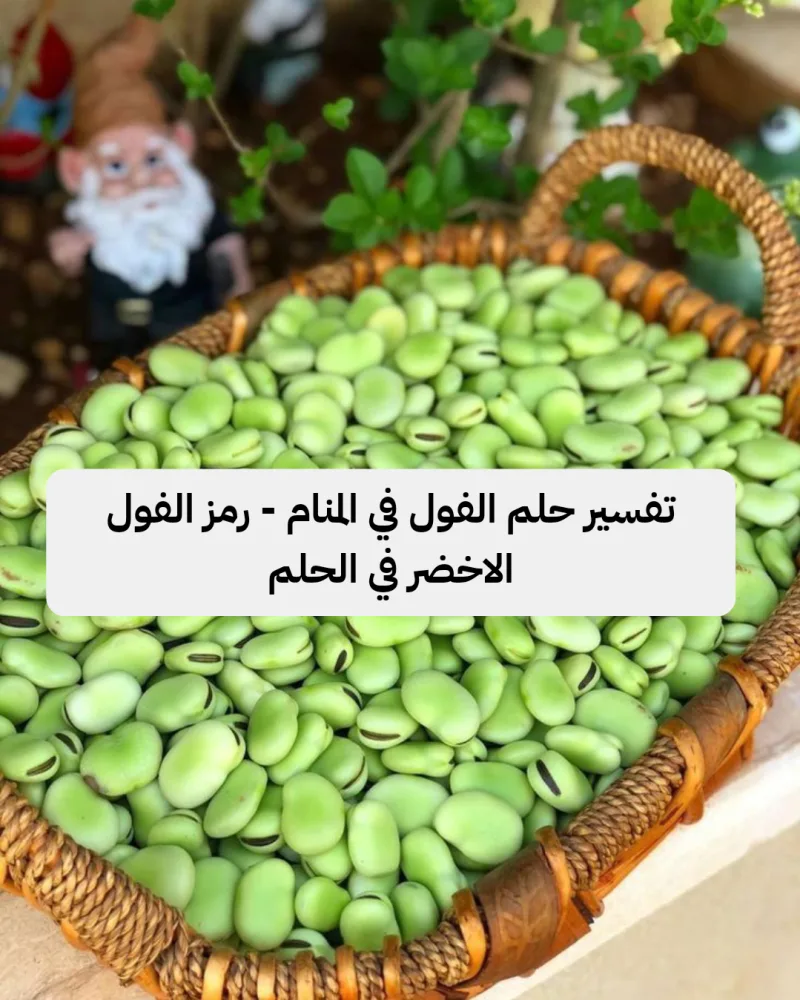 تفسير حلم الفول في المنام - رمز الفول الاخضر في الحلم