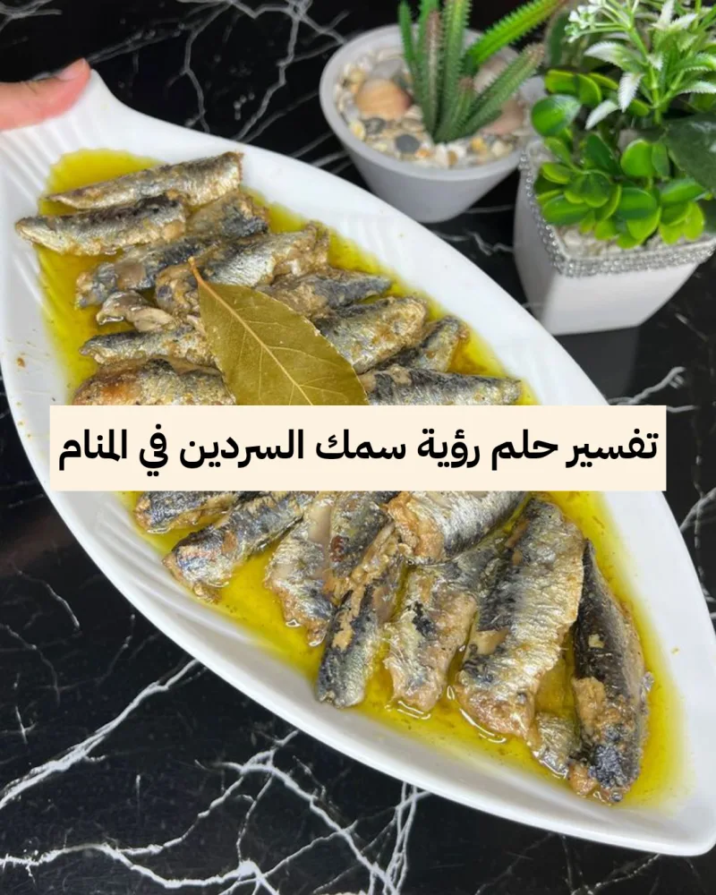 تفسير حلم رؤية سمك السردين في المنام