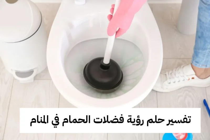 تفسير حلم رؤية فضلات الحمام في المنام