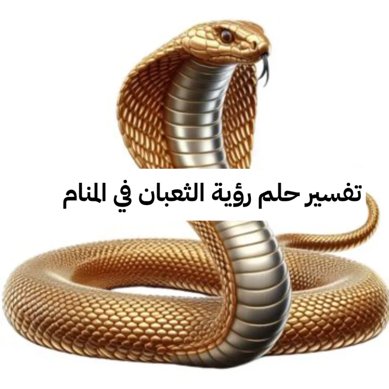 تفسير حلم رؤية الثعبان في المنام للمتزوجة بالتفصيل لابن سيرين - دلالات هجوم الثعابين في الحلم