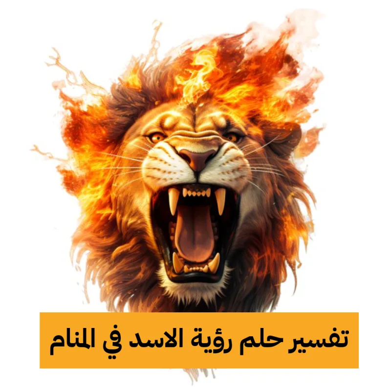 تفسير حلم رؤية الاسد في المنام للعزباء والمتزوجة